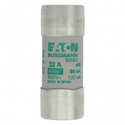 CYLINDRICAL FUSE 22 x 58...