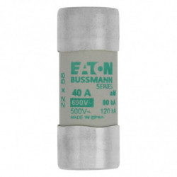 CYLINDRICAL FUSE 22 x 58...