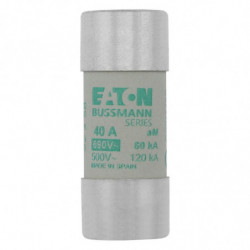 Cartouche fusible 22 x 58...