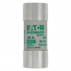 CYLINDRICAL FUSE 22 x 58...