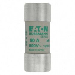 CYLINDRICAL FUSE 22 x 58...