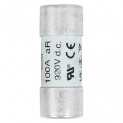 100AMP 920V dc 22 X 58MM...