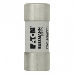 100A 600V 22X58 INDICATED...