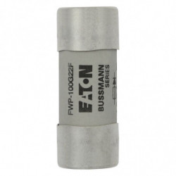 Fuse 100A 690VAC gR 22x58...