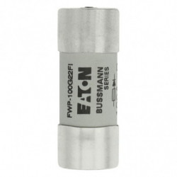Fuse 100A 690VAC gR 22x58...