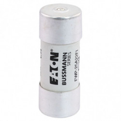 25A 690V 22X58 INDICATED 14...