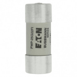 Fuse 25A 690VAC gR 22x58...