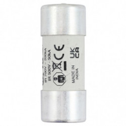 32A 690V 22X58 INDICATED 22...