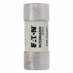 50A 690V 22X58 INDICATED 22...