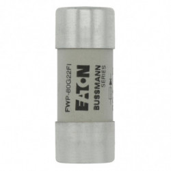 Fuse 80A 690VAC gR 22x58...