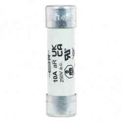 250V 10AMP S/COND FERRULE...
