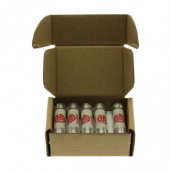 250V 1AMP S/COND FERRULE...