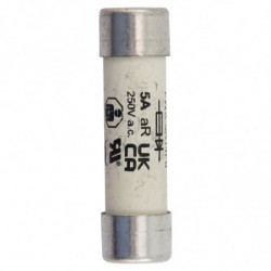 250V 5AMP S/COND FERRULE...