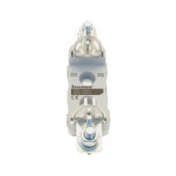 NH00 SINGLE POLE SILVER 1/4...