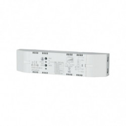 CDAE-01/05-E (Y7-182449)