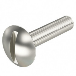 100x Vis tête fendue, M6x30...