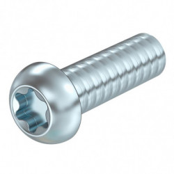 100x Vis à tête Torx...
