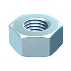 1000x Ecrou hexagonal type...