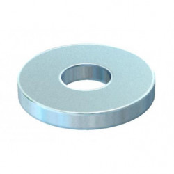 100x Rondelle plate type WS...