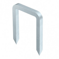 100x Agrafe type 366 50...
