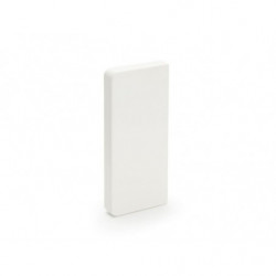 Embout PROFILA 55X170 9010...