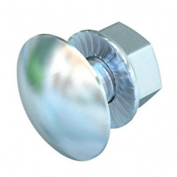 100x Boulon TRCC FRSB 6x12...