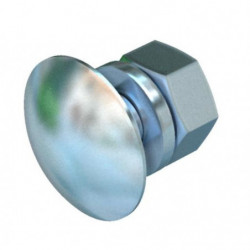 Boulon TRCC FRS 10x25 TPS...