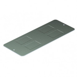 Plaque support...