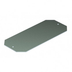 Plaque support...