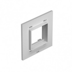 Plaque support...