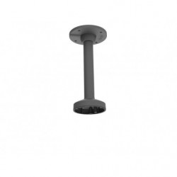 Pendent Mount (302701730)