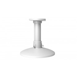 Pendent Mount (302702657)