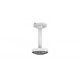 Pendent Mount (302700439)