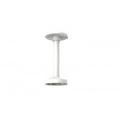 Pendent Mount (302701364)