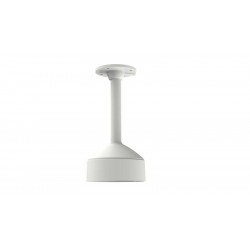 Pendent Mount (302701508)