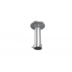 Pendent Mount (302701772)