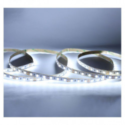 BANDEAU BLC 6000K 5M 60LED...