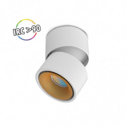 Applique Décorative CCT 6W...