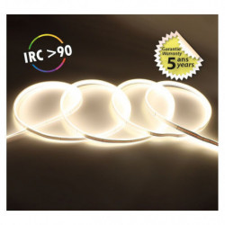 Bandeau LED COB 6000K 5 m...