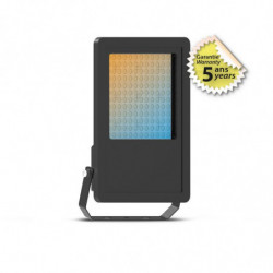 LUMOS PRO PROJECTEUR 100W...