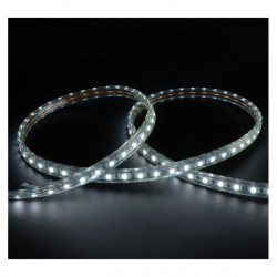 Bobine LED 5050 6000k 1...