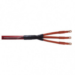 Extremite SEEV/150-240...