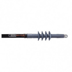Extremite CAESK-F...