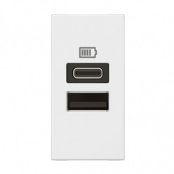 CHARGEUR 1 MODULE 2 PRISES...