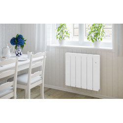 Radiateur Arial Smart Eco...