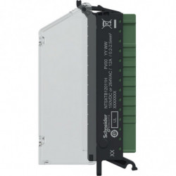 Edge I/O NTS Connecteur...