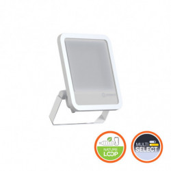 LDV FL150 ML 83/100W 865...