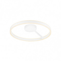 ONE 60, applique et...