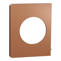 Plaque Odace Cuivre...