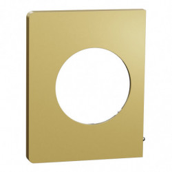 Plaque Odace Laiton...